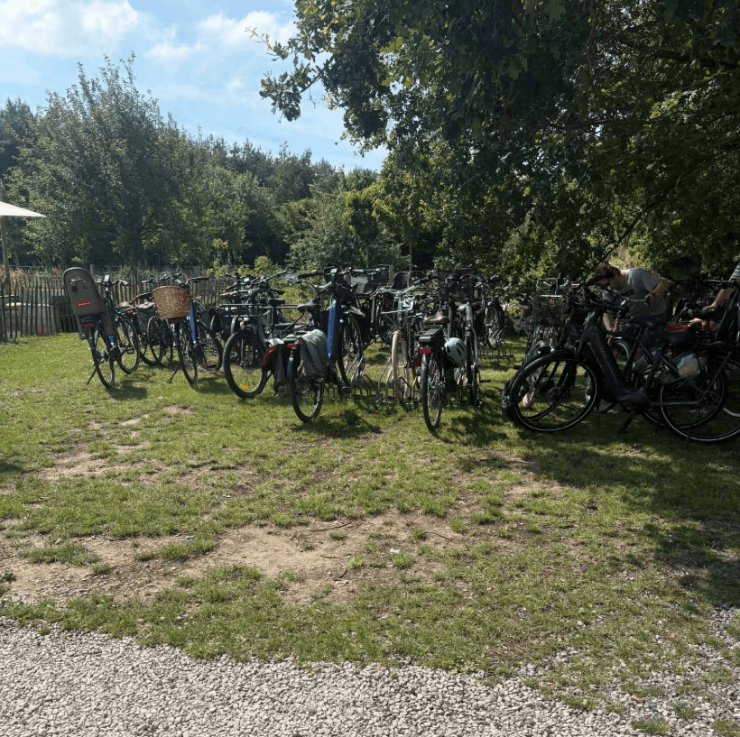 Fietsen geparkeerd bij Brasserie Rhodesgoed