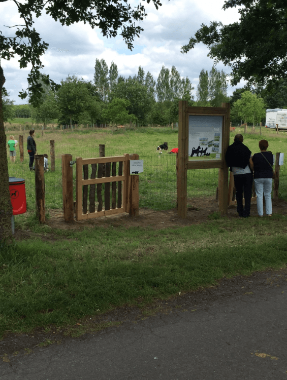 Onze hondenweide bij Brasserie Rhodesgoed