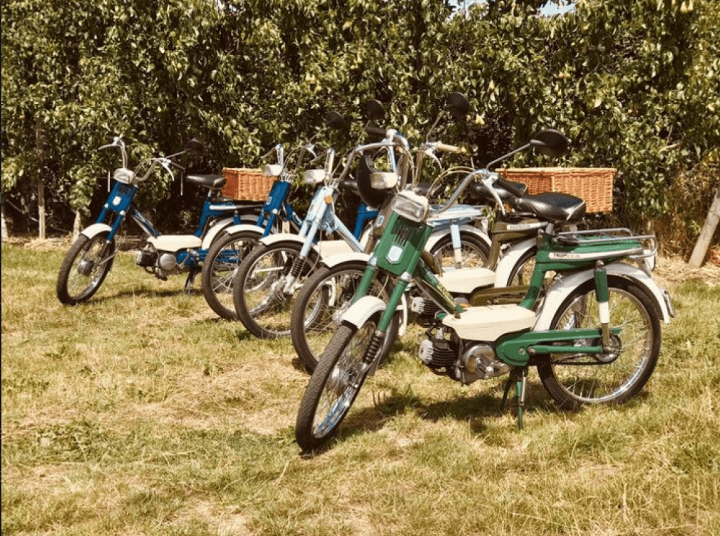 Tandem- of vespa trophy bij een teambuilding met Brasserie Rhodesgoed